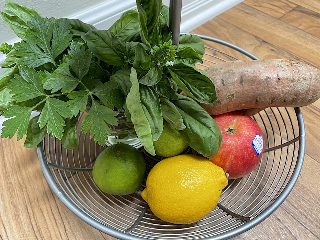 Adopting a Plant-Based Lifestyle